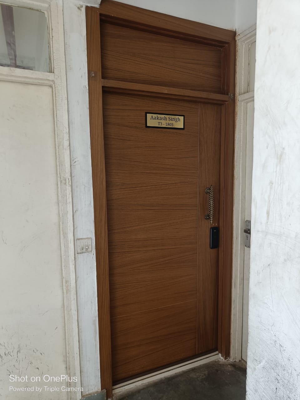 Trending Door Veneer